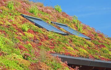 Portencross living roof systems