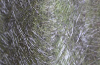 Portencross fibreglass roof work